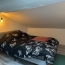  IRINA IMMOBILIER : Appartement | SAINT-ETIENNE (42100) | 33 m2 | 515 € 