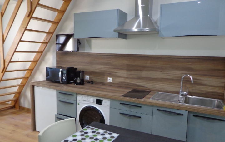  IRINA IMMOBILIER Appartement | SAINT-ETIENNE (42100) | 33 m2 | 515 € 